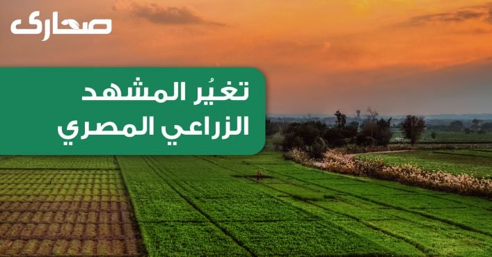 تغيُر المشهد الزراعي المصري