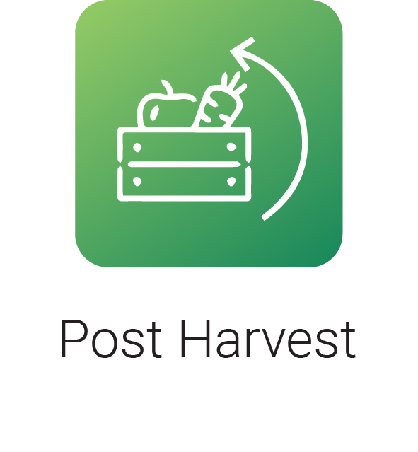 post-harvest