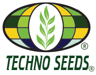 technoseeds logo