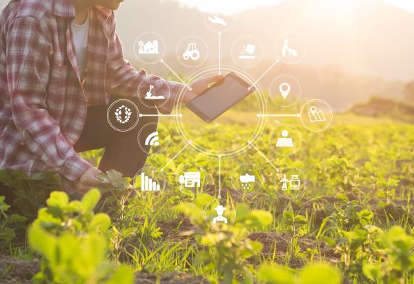 Digital transformation in Agriculture Webinar