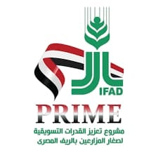 Prime logo