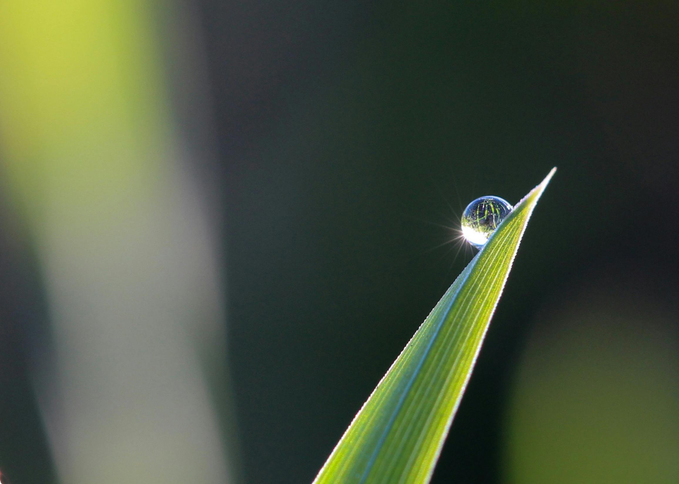 No blue no green, world water day message