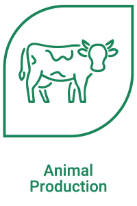 Animal Production